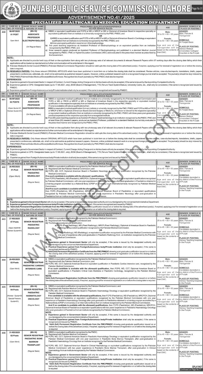 Punjab Public Service Commission PPSC Jobs 26 October 2025 Express Tribune 651x1200 1
