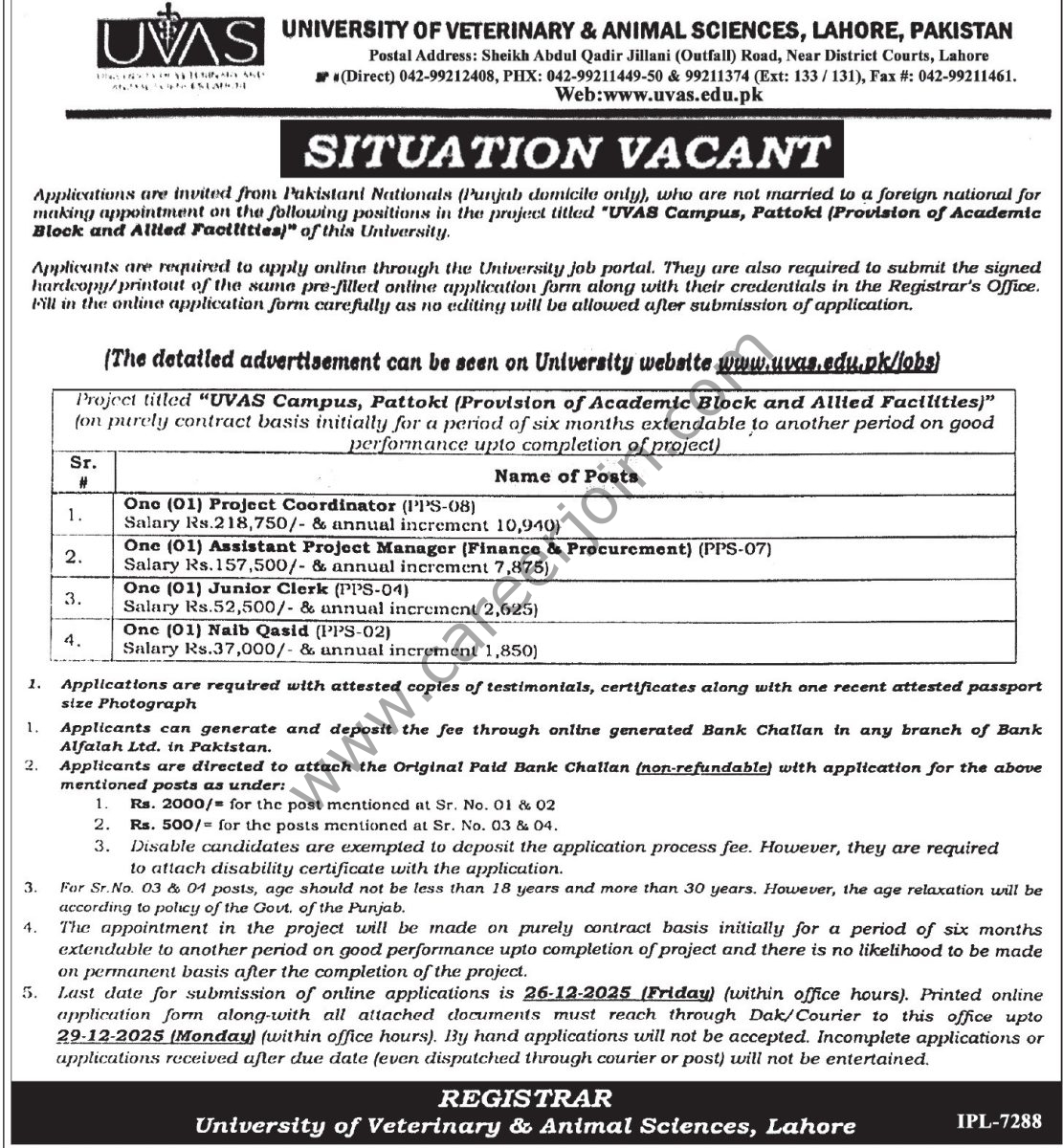 University of Veterinary & Animal Sciences UVAS Jobs December 2025
