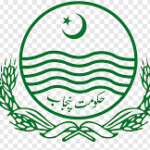 School Education Department Punjab Jobs 2025 1 School Education Department Punjab