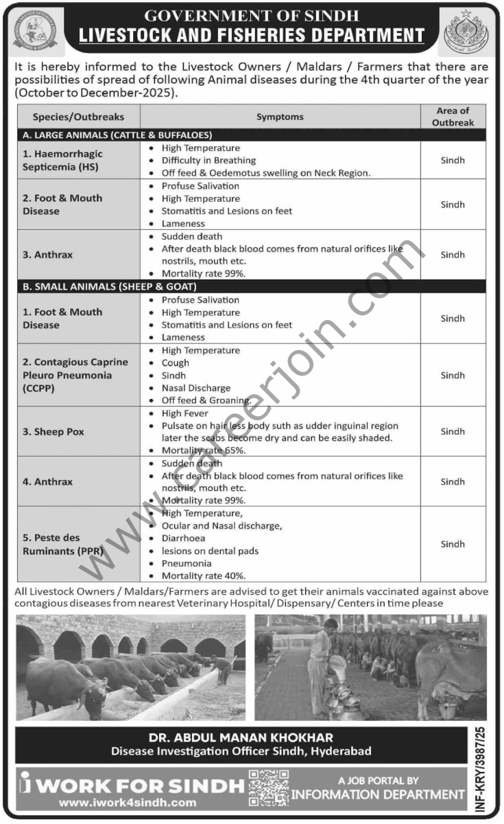 Livestock & Fisheries Department Jobs 2025 4 Livestock Fisheries Department Jobs 28 November 2025 Dawn 735x1200 1