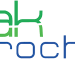 Pak Petrochemical Industries Private Limited
