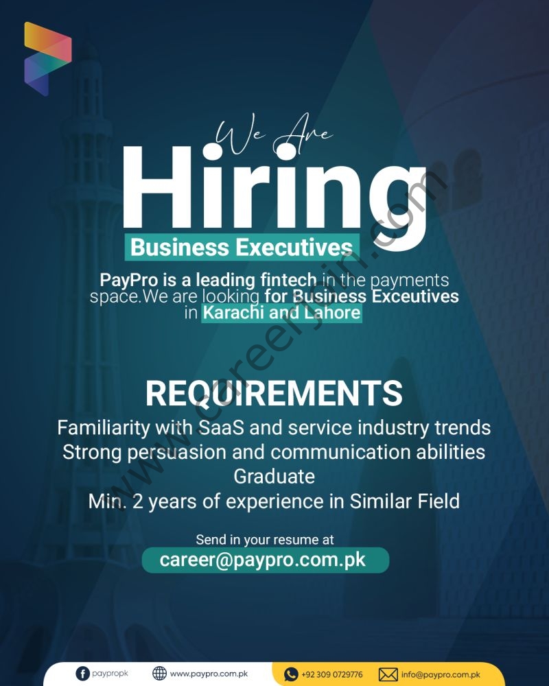 PayPro Jobs Business Executives 4 PayPro