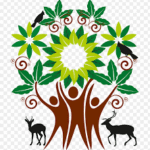 Forest & Wildlife Department