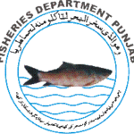 Fisheries Department Punjab Jobs In Lahore 1 Fisheries Department Punjab