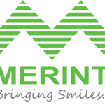 Merint Group