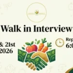 Sulthanpur Fruits & Vegetable Trading Walk in Interview in Dubai 1 Sulthanpur Fruits & Vegetable Trading